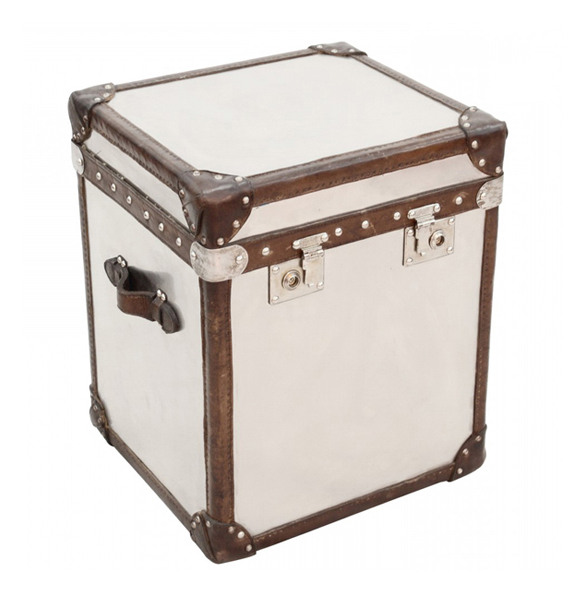 London Trunk in Brushed Steel 1.