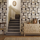 Fern Gallery WP Main v2