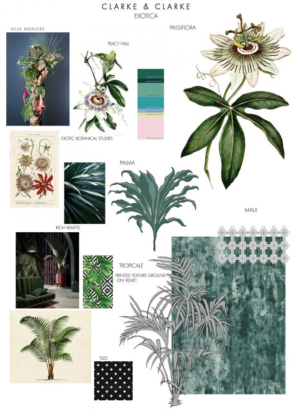 EXOTICA BOARD 3