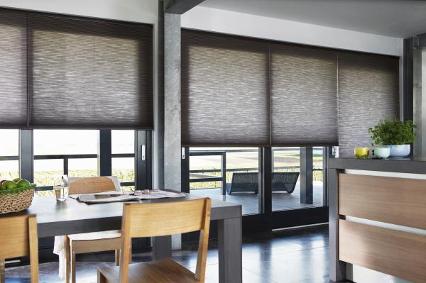NZWS Luxaflex Duette Shades DS 1255 MOTORIZATION