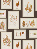 ImagePathHiRes_DWOW215713 Fern Gallery charcoal_spice