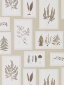 ImagePathHiRes_DWOW215714 Fern Gallery linen_sepia