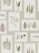 ImagePathHiRes_DWOW215715 Fern Gallery blue_sepia